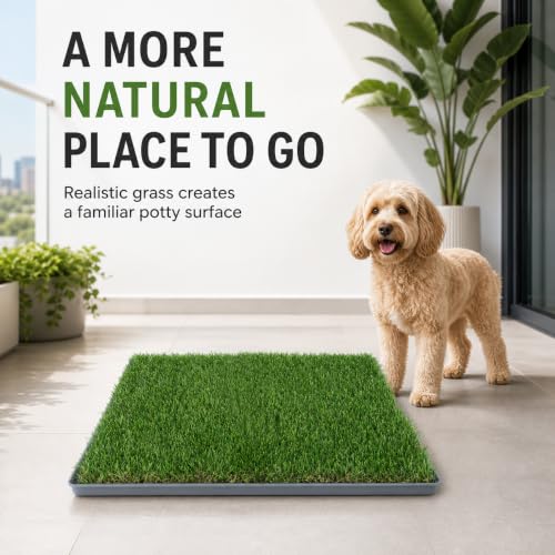 THREE ORANGES Dog Grass Pee Pads, 2 Pack 20 x 24 Inch Artificial Grass Replacement Mats for Dog Potty Trays, Soft 1.38 Inch Washable Turf with Drainage Holes, Indoor Outdoor - size: 20in*24in (with tray)