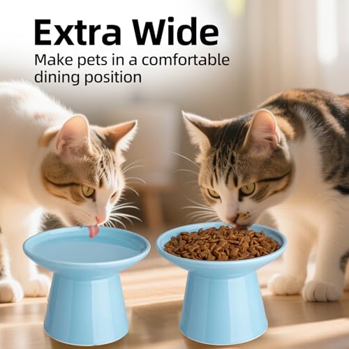 Ceramic Elevated Cat Bowls - 6.2 Inch Extra Wide Raised Cat Food and Water Bowl Set for Indoor Cats, Whisker-Friendly Ceramic Cat Dish for Elder Big Cats & Small Dogs,Blue,2 Pack - color: Blue, size: 2 Pack