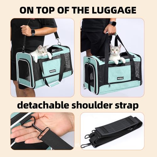 Cat Carrier Soft-Sided Travel Bag for Medium to Large Cat Over 15lbs | Small Puppy Dog Carry Crate 12 Pounds, Top Entry, Breathable Mesh, Pet Kitten Rabbit Cage Bag Transport Kennel Collapsible - color: Teal