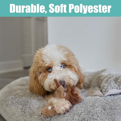 SPOT Skinneeez Beaver Dog Toy – 14" Stuffing-Free Plush Squeaky Dog Toy, Durable Interactive Toy for Small & Medium Dogs, Light to Moderate Chewers, Mess-Free Play - style: Mini Beaver