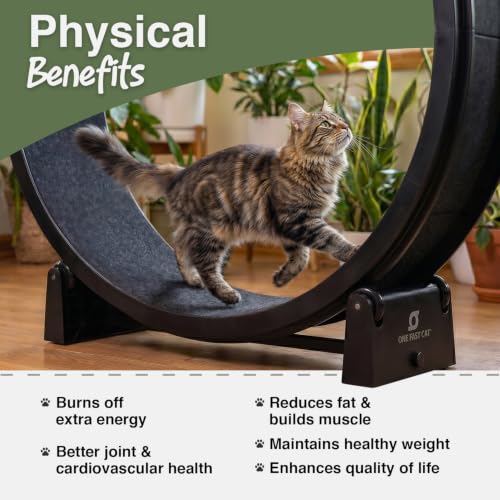 One Fast Cat - Cat Exercise Wheel - Made in the USA - 48" Diameter - Gen. 7 | Black with Koi Pond Foam Traction Pads and Solid Black Inline Wheels - color: Black Wheel / Koi Pond Foam / Black Inline