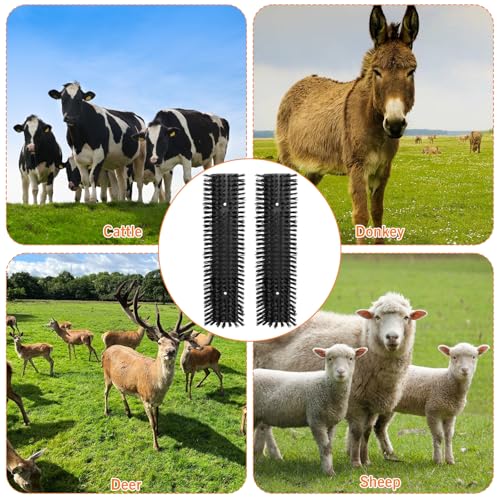 Livestock Scratch Brush With 16 Screws，Animal Back Scratching Brush for Cow,Cattle,Sheep, Horses,Pigs，Massage Grooming Tool (Black, 4pcs) - color: Black, size: 4pcs