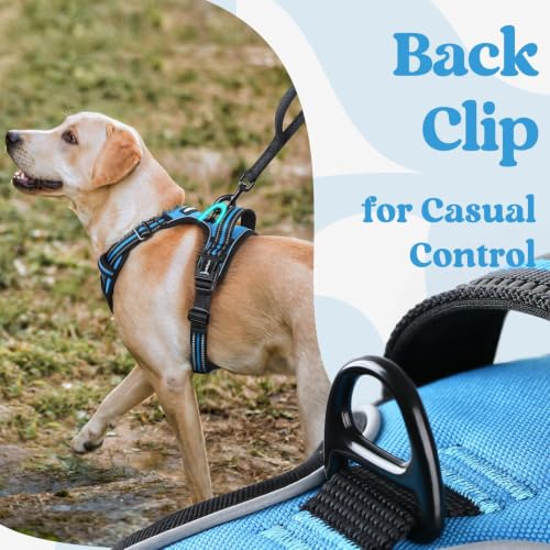 rabbitgoo Dog Harness Small Sized, Updated Easy On & Off with 3 Buckles | No Pull No Choke, Walking with 2 Clips and Handle, Adjustable Soft Reflective, Sky Blue, Small - color: Sky Blue, size: Small