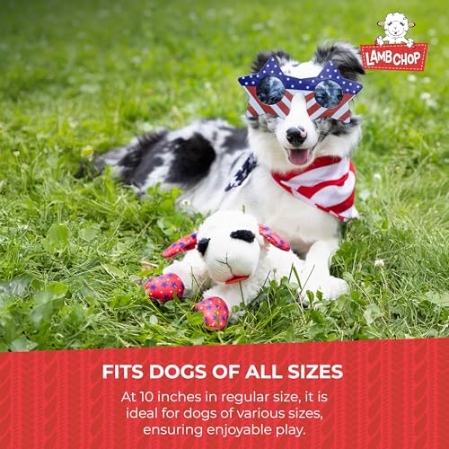 Multipet Lamb Chop Dog Plush Toy - Squeaky Toy for Small & Medium Dogs - Extra Soft Plush - Stuffed Animal for Cuddling & Playing (10", Cream, 5 Squeakers) (Pack of 2) - size: 10" (Pack of 2), style: Lambchop