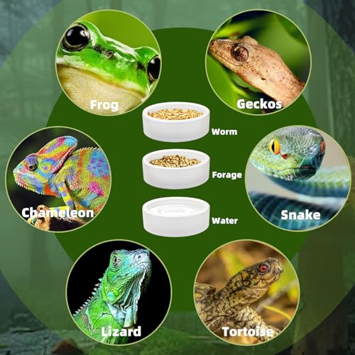 Escape-Proof Reptile Food Dish Bowl, Ceramics Small Animal Bowls for Lizard Frog Snake Turtle Gecko Hamster Food Bowl for Anti Living Foods Escape, Reptile Water Dish (S,1.96inches) - size: S,1.96inches