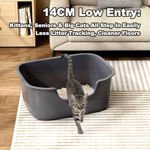 Large Open Cat Litter Box with High Sides, Anti-Splashing for Indoor Cats, Low Entry for Kittens & Elderly Cats, Spacious Litter Pan, Tool-Free Assembly(21.7” * 16.5” * 8.5” Grey) - color: Grey