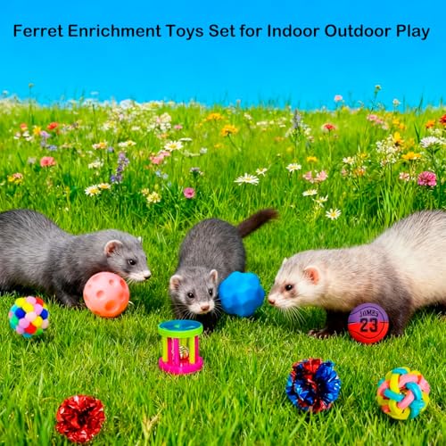 12 pcs Ferret Squeaky Toys Balls Squeaker Toys Teething Chewing Toy Colorful Bouncy Rubber Bell Balls Mylar Crinkle Interactive Sound Exercise Scratch Chew Toy for Ferrets Pet Cat Dog - color: pattern 1