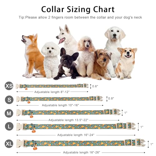 ARING PET Fall Dog Collar, Cute Autumn Halloween Pumpkin Pet Collars for Puppy Small Medium Large Giant Girl Boy Dogs-XS - color: Fall Two Pumpkin, size: X-Small