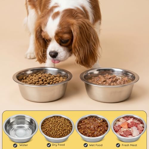 2 Pack Shallow Stainless Steel Cat & Dog Bowls, 4 Cup (32oz) Each, Heavy Duty Small Pet Only Puppy Kitten & Birds Feeder Replacement Bowl, Rust Resistant Metal Cat Dishes for Food & Water - size: 4 Cup (32oz)