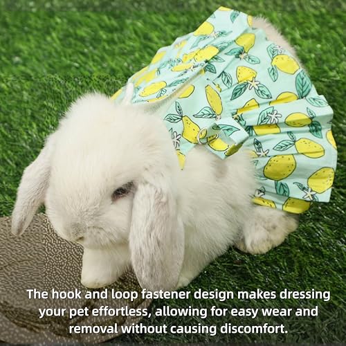 SMOLKITH Rabbit Clothes - Bunny Adjustable Summer Lemon Print Dress with Leash, Small Animal Apparel for Walking - Fits Meerkats, Chinchillas, Guinea Pigs, Marmots and More - color: Summer Lemon Print Dress