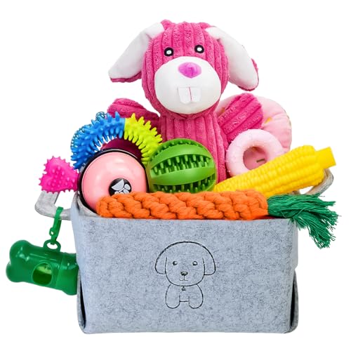 MRSOHRET 20Pcs Puppy Chew Toys for Teething, Dog Chew Rope Toys, Pet Dog Toothbrush, Treat Balls, Plush Squeaky Toy for Small Medium Dogs with Basket - color: 20 Pack Rabbit Style