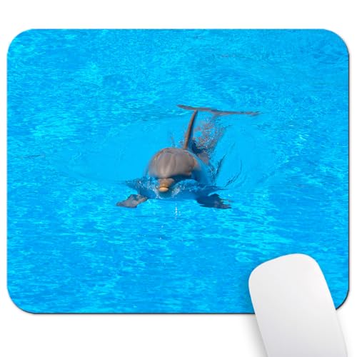 Ocean Dolphin Swimming Mouse Pad, Blue Ocean Water Desk Mat | 9.5"x 7.9", Cute Smooth & Anti-Slip Mousepad - color: Colorful Design Wknoon-Art 28