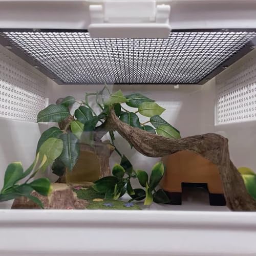 Reptile Decor 3PCS Natural Forest Branch Terrarium Habitat Decoration Lizard Climbing Tree Branch for Bearded Dragon Gecko Snake Frog Chameleon Spider