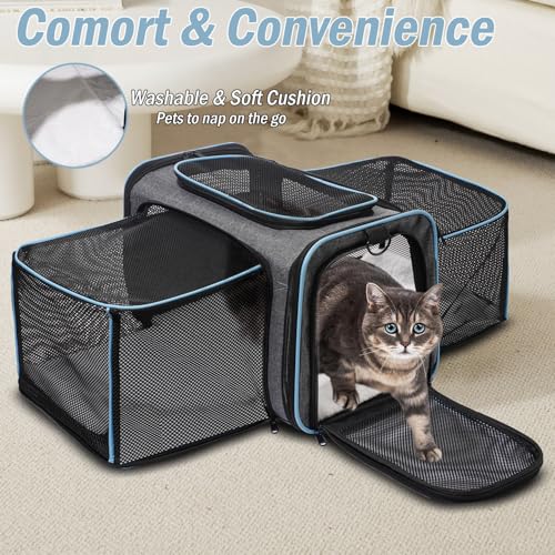 Vivicreate Cat Carrier Airline Approved Soft Sided Pet Carrier for Cats and Small Dogs Collapsible Travel Cat Bag with Ventilation Mesh Shoulder Strap and Fleece Pad