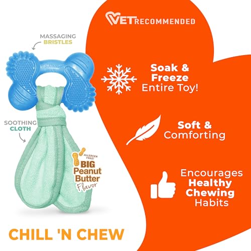 Nylabone Puppy Chew 2-in-1 Teething Freezer Bone Dog Chew Toy, Small | Peanut butter flavor, teething toys for puppies, puppy teething freezable to soothe sore gums, for small puppies up to 25 lbs - size: Small