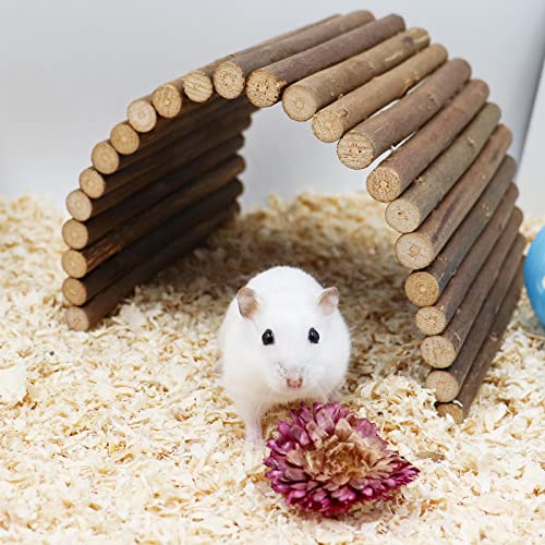 Hermit Crab Climbing Toys, Wooden Hermit Crab Hideout, Reptile Tank Habitat Decor, Bendable Ladder Bridge Tunnel Toys for Lizard Chameleon Hamster Rats Chinchilla Guinea Pig Rabbit Bearded Dragon - style: 19.7×5.9 Inches