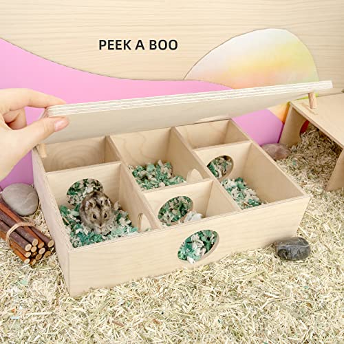 Niteangel Multi-Chamber Hamster House Maze: 2 Entrance 6 Rooms Maze Habitat | No-Disturb Removable Lid - Encourage Pets Hide and Explore Freely Hideout & Tunnel Maze Toys for Hamster Gerbils Mice Lemming - size: 6-Room Small