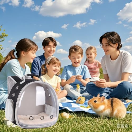 Portable Small Animal Backpack Travel Breathable Pet Carrier Bag Cages for Guinea Pig, Rabbit, Bearded Dragon, Squirrel, Tortoise, Bird, Lizard, Sugar Glider - color: Black