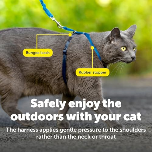 PetSafe Come with Me Kitty Harness and Bungee Cat Leash, Royal Blue, Medium | Adjustable 2-Point Fit Applies Gentle Pressure to Shoulders, Not Neck, for Small & Average Cats with 10.5 in - 14 in Girth - color: Royal Blue, size: Medium (Pack of 1)