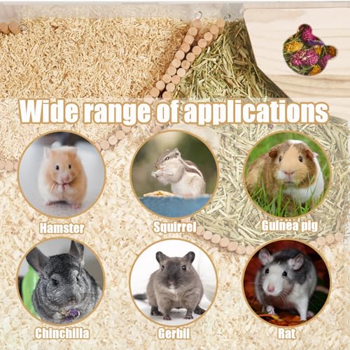 Hamster Sand Bath Container with Ladder, 1 Count | Small Animal Sand Bath Shower, Easy Cleaning, For Dwarf Hamsters, Gerbils, Chinchillas, Pet Bathing Accessories