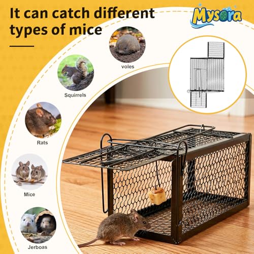 2 Pack Humane Rat Traps, Foldable Cage,11.8 x 5.5 x 5.5 Inches,Black | for Mouse Chipmunks and Squirrels, Reusable Wire Mesh Rodent Traps for Catch & Release, Indoor & Outdoor - size: 11.8 x 5.5 x 5.5 Inches