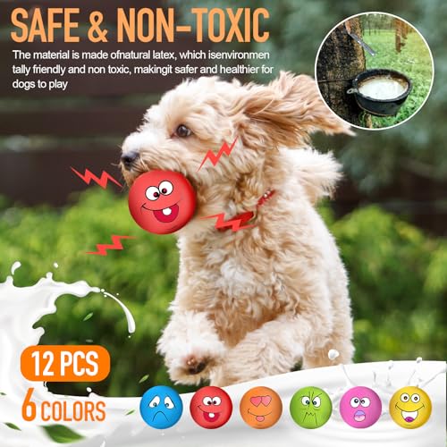 Squeaky Dog Toys Funny Face Chewing Latex Rubber Soft Fetch Play Interactive Dog Squeaky Balls for Puppy Small Medium Pet Dog (12PCS) - color: Smile Face 12PCS