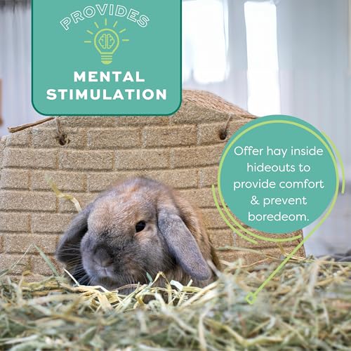 Oxbow Western Timothy Hay, Rabbit & Guinea Pig Hay, High Fiber, USA, 90 oz | Oxbow Timothy Hay, Bunny Hay For Rabbits, Guinea Pigs, Bunnies and Chinchillas, Hand-Sorted, De-Dusted, Made in USA - size: 90 Ounce (Pack of 1)