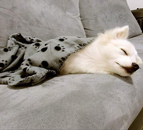 Comsmart Pet Blanket Dog Cat Soft Fleece Blankets Sleep Mat Pad Bed Cover with Paw Print for Kitten Puppy and Other Small Animals, 6 Pack of 24x28 Inches - size: 6 Pack of 24x28 Inches