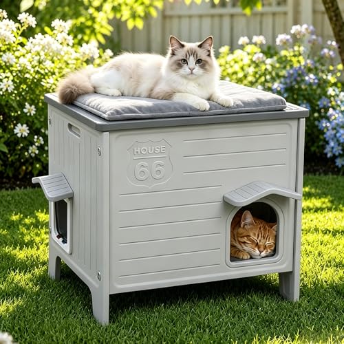Rockever Cat House with Escape Door, Easy Clean Elevated Waterproof Shelter | Outdoor indoor breathable comfortable cat home, all-season refuge shelter for feral cats, with Heated Pad, Grey M - style: Medium