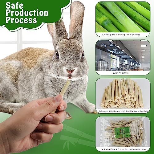 BWOGUE 1000g Bamboo Chews for Rabbits, Rabbit Chew Toys Sweet Bamboo Sticks | Pet Snacks, Rabbit Bamboo Chew Sticks, Bamboo Sticks for Rabbits, Bamboo for Rabbits, About 100 Sticks, 4.3 in, Sealed Bag - size: 2.2 Pound (Pack of 1)