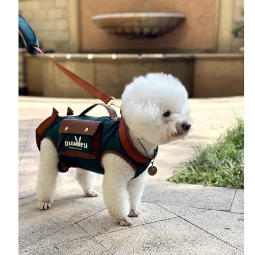 Wakytu Dog Lift Harness Dog Carrier Sling for Small Dogs & Cats,XS | stylish puppy sling carrier with handle & pocket,adjustable leash,walking & travel - color: 1.0 Green, size: X-Small(2-5 LBS)