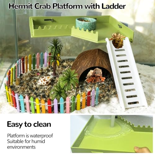 Hermit Crab Platform with Ladder Climbing Toys Hermit Crab Climbing Wall Shelf Habitat Reptile Tank Decor Terrarium Accessories for Leopard Gecko Frogs - Plastic Material - color: Green
