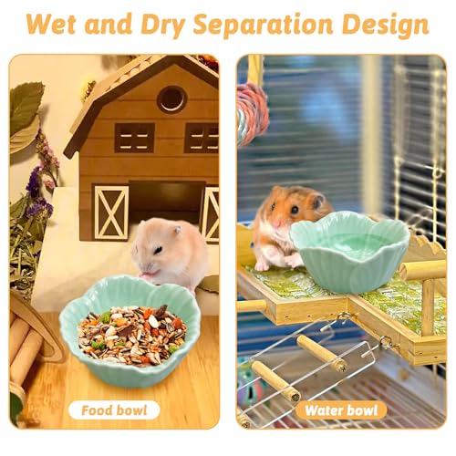 Tfwadmx 2 Pcs Ceramic Pet Hamster Bowl, Dwarf Hamster Food Bowl Feeder, Small Animal Food Dish for Guinea Pigs, Hedgehogs, Mice, Pygmy Hamsters, Robertsky'S Cheeky Mice (Cyan) - color: Cyan