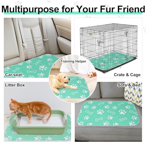 BEAUTYZOO 6 Pack Washable Pee Pads for Dogs, Reusable Puppy Pads for Potty Training, Waterproof Super Absorbent Whelping Pads Mats Non Slip Against Urine for Small Medium Dogs Cats, 16" x 24" - color: Aqua Blue, size: 16 X 24 Inch (Pack of 6)