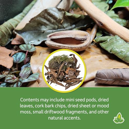 Josh's Frogs EcoScape Assorted Décor Pack (Small)
