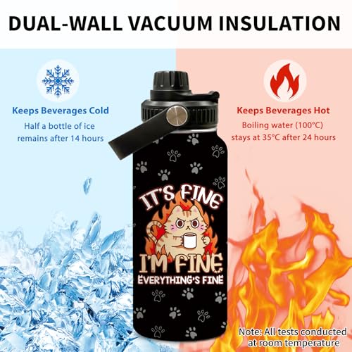 Cat 32oz Water Bottle, with Handle Lid Bottle, Sport Insulated Cup | 32oz Stainless Steel Tumbler, Leak-proof Coffee Mug, Thanksgiving Christmas Birthday Gift for Cat Lovers - color: Fine
