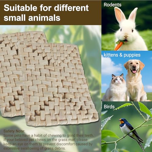 Rabbit Grass Mat,Corn husk Woven Natural Grass Bed Mat for Small Animals,Non-Toxic & Durable Chew Toy Nest Pad,Ideal Cage & Playpen Bottom Mat for Rabbits,Guinea Pigs,Hamsters,Rats & Parrots (2pcs) - size: 2pcs