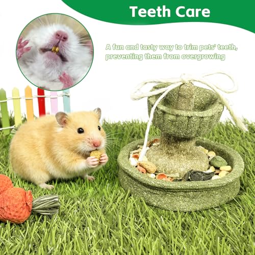Hamiledyi Guinea Pig Chew Toys Rabbit Chew Toys for Teeth Natural Hamster Treats Prevent Teeth Overgrowth for Syrian Hamsters Gerbils Rat Bunny Chinchilla Small Animals - style: Style A