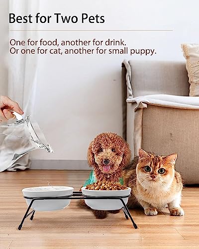 COMESOON 5" Ceramic Cat Bowl with Paws Pattern, Cat Food Bowl for Food and Water, Healthy Cat Dishes for Indoor Cats and Small Dogs, Dishwasher Safe & Microwaveable - White