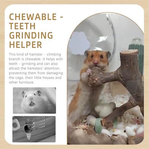 kathson 2PCS Wood Hamster Climbing Branches Decor, Natural Wooden Syrian Hamster Climb Chewing Toys, Rat Exercise Toys, Small Animal Habitat Decor Accessories for Dwarf Pets, Gerbils, Mice (7.8IN) - size: 7.8IN