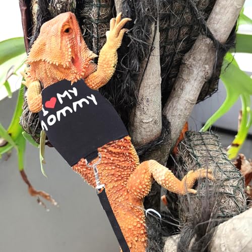 Small Animal Travel Backpack Carrier,Portable Bearded Dragon Bag for Sugar Glider,Hedgehog,Rat,Bunny,Rat,Outdoor Used (Green, Carrier L+ I Leash) - color: Green