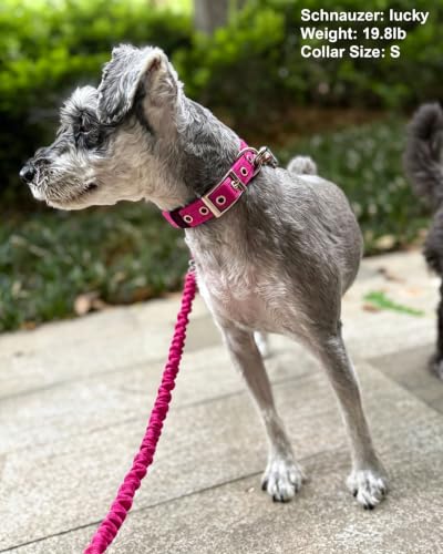 5FT Bungee Dog Leash Shock Absorbing Reflective Nylon Lead 2cm Wide | Soft Handle- Lightweight- Anti-Pull Training for Small/ Medium Dogs- 6 Colors (Pink) - color: Pink
