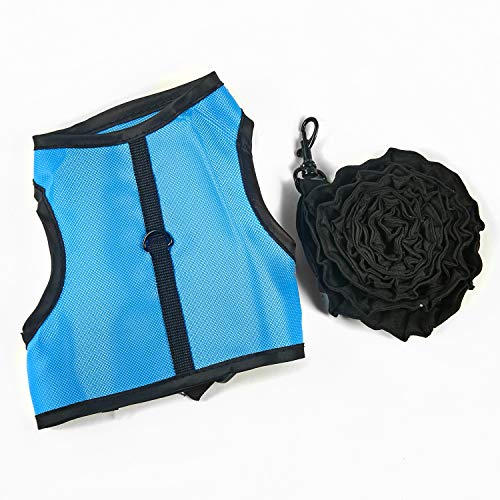Kaytee Comfort Harness & Stretchy Leash, Large, Assorted, Model:100079521 - size: Large