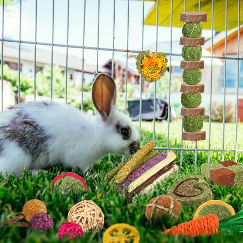 YIXUND Rabbit & Guinea Pig Toys - Natural Timothy Hay & Apple Wood Sticks for Teeth Care - Handmade for Hamster, Bunny, Chinchilla (27 Pcs) - color: 27 Pcs