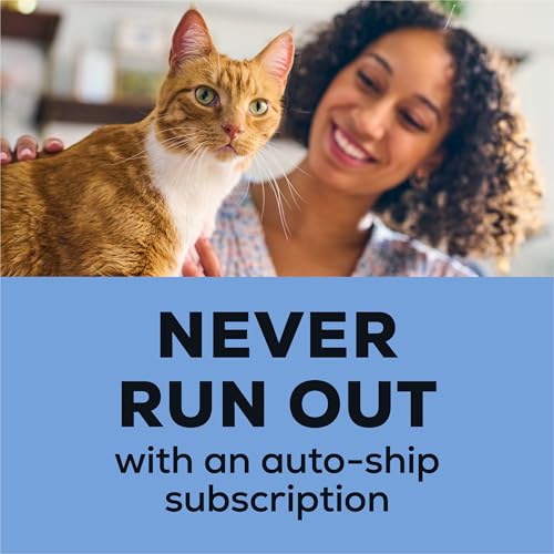 Purina Tidy Cats LightWeight 24/7 Performance Odor control, Multi-Cat, Clumping, 99.9 Percent Dust Free Cat Litter - 6 lb. Jug