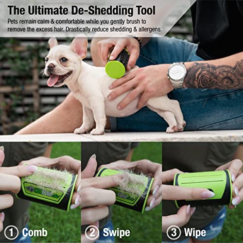 King Kanine Mini King Komb Pet Grooming Brush, Self Cleaning Deshedding | Multi-Use Tool for Cats & Kittens of All Life Stages | Mini Brush Pet for Grooming and Loose Hair | Perfect for Small Coats - size: Small (Pack of 1)