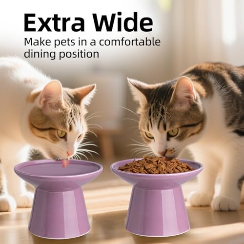Ceramic Elevated Cat Bowls - 6.2 Inch Extra Wide Raised Cat Food and Water Bowl Set for Indoor Cats, Whisker-Friendly Ceramic Cat Dish for Elder Big Cats & Small Dogs,Dark Purple,1 Pack - color: Dark Purple, size: 1 Pack