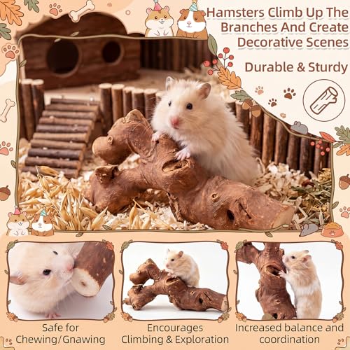 Leitee 6pcs Hamster Cage Accessories, Hamster Sand Bath Box, Wood House, Tunnel Hideout Place, Climbing Branches Decor, Silent Running Exercise Wheel, Interactive Enrichment Toys for Rabbit Gerbils