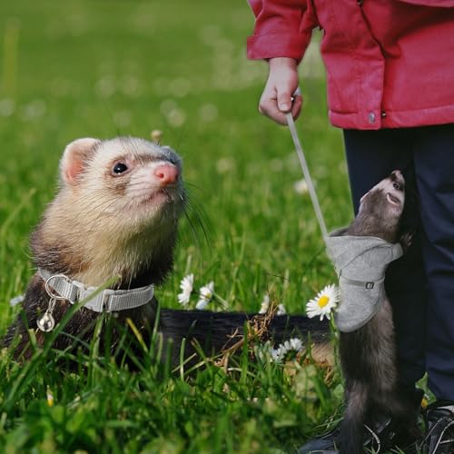 Foaincore 6 Pcs Ferret Clothes Hoodie Sweater Leash Harness Set Grey Red | Soft Hoodie Sweaters with Drawstring, Collar with Bell for Safety, Leash Included, For Guinea Pig Hamster Chinchilla