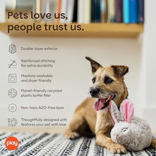 P.L.A.Y. Cute Plush Dog Toys - Forest Friends Critter Themed Durable Squeaker Crinkle Chew Toy, Great for Puppies & Small, Medium, Large Dogs - Machine Washable, Recycled Materials (Bunny) - style: Baxter the Bunny
